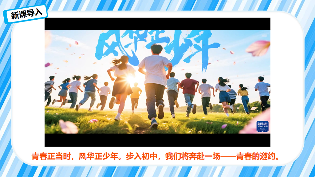 17817394第3页
