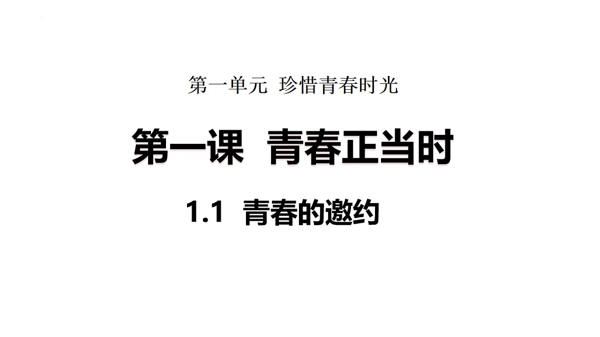 17817397第1页