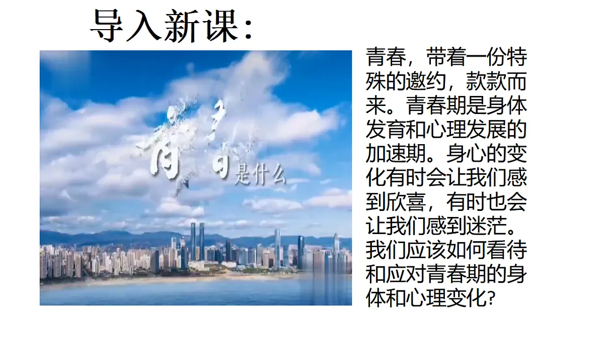 17817399第2页