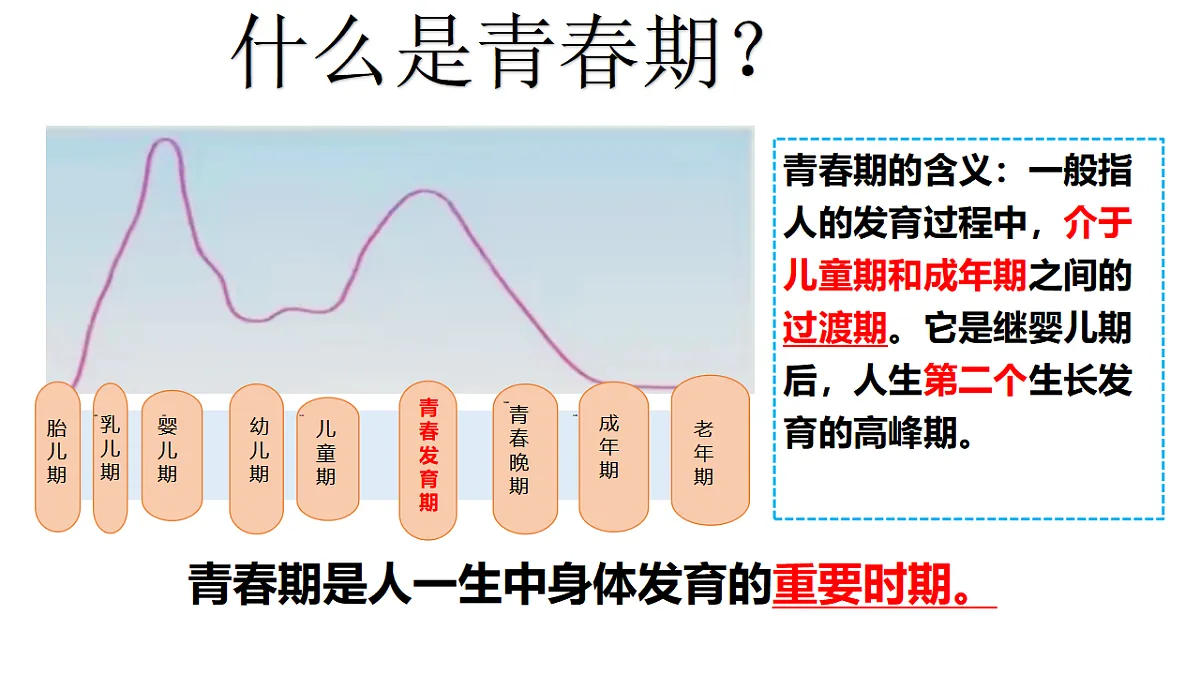 17817399第6页