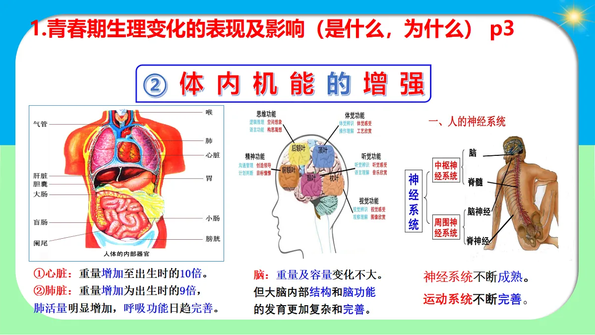 17817399第8页