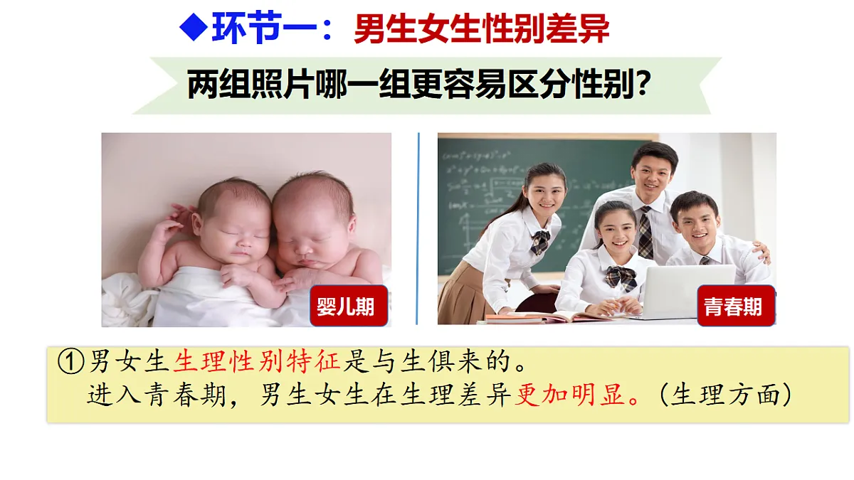 17817401第5页