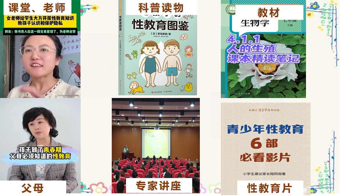 17817407第7页