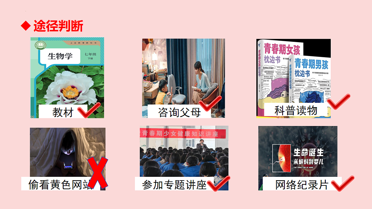 17817408第7页