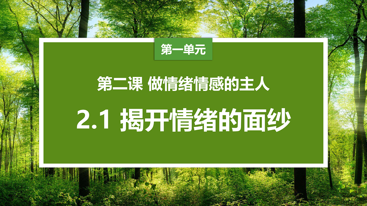 17817413第3页