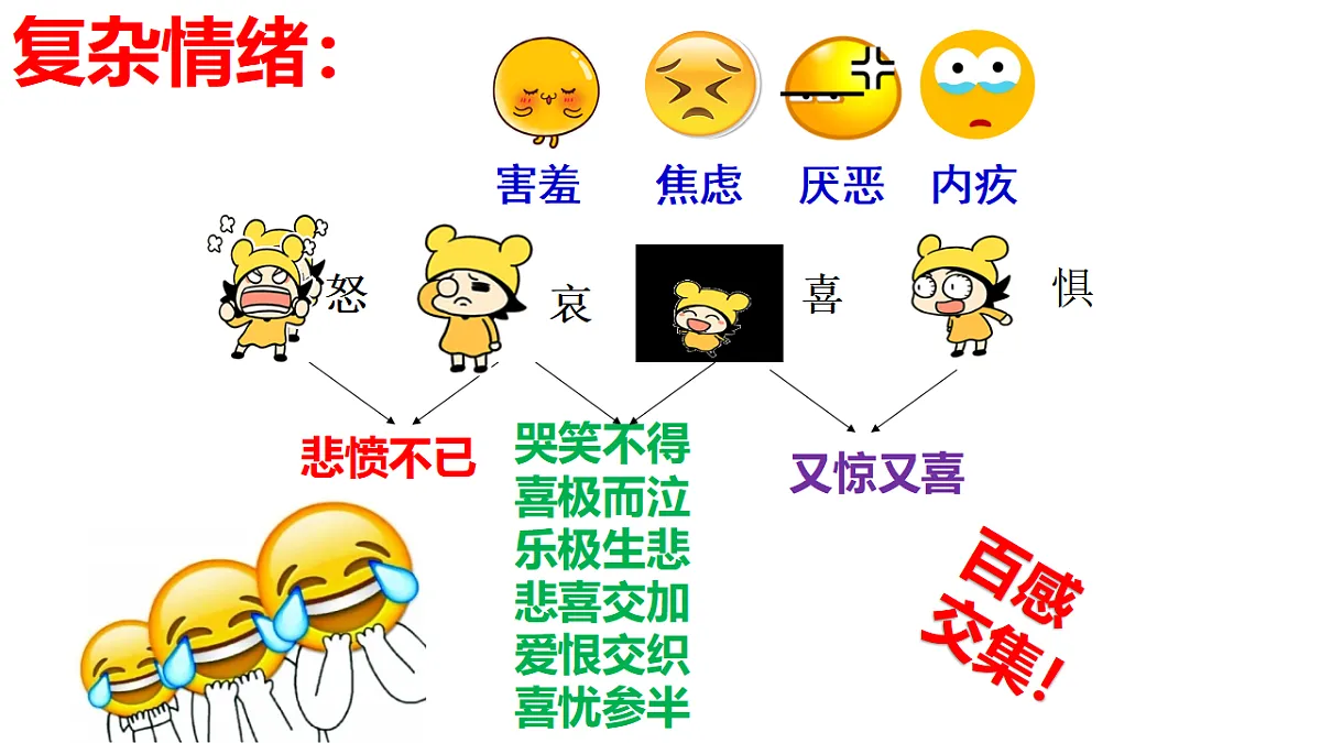 17817415第6页