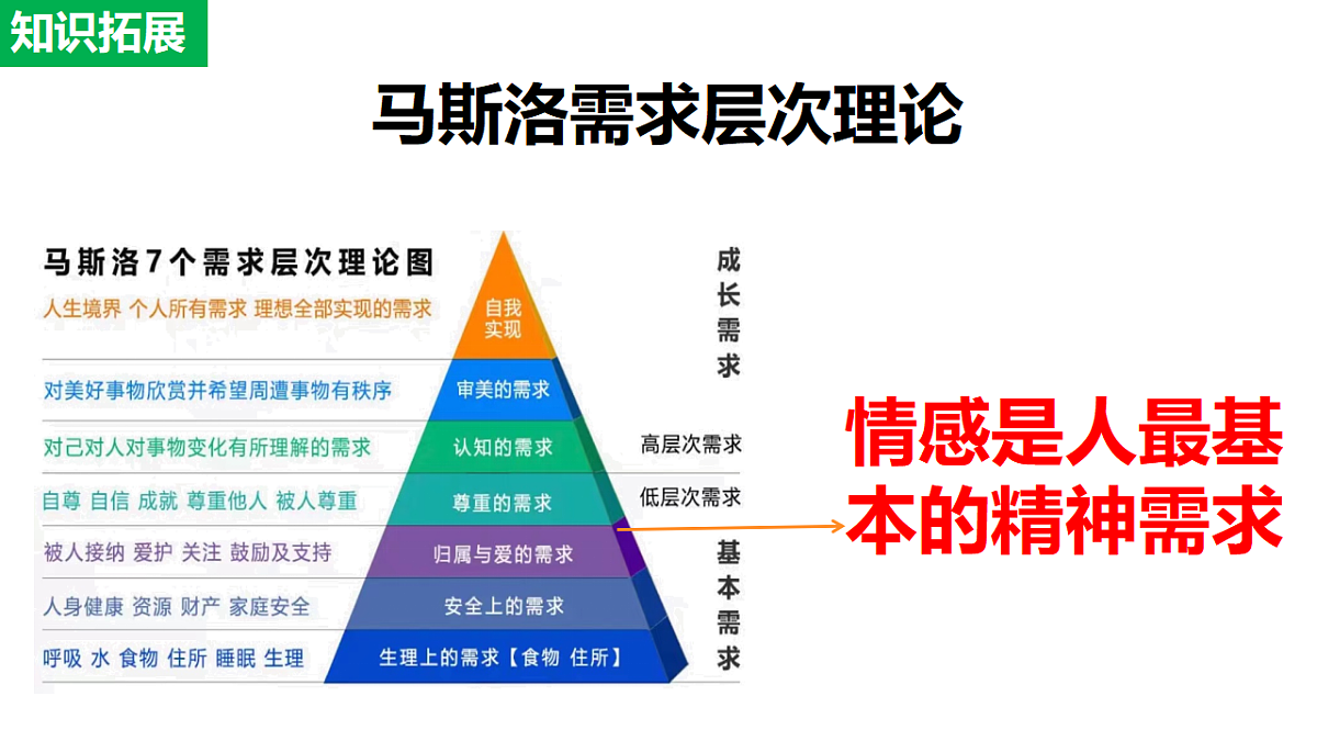 17817420第7页