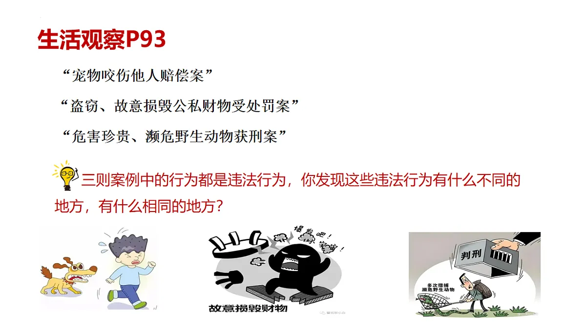17817435第1页