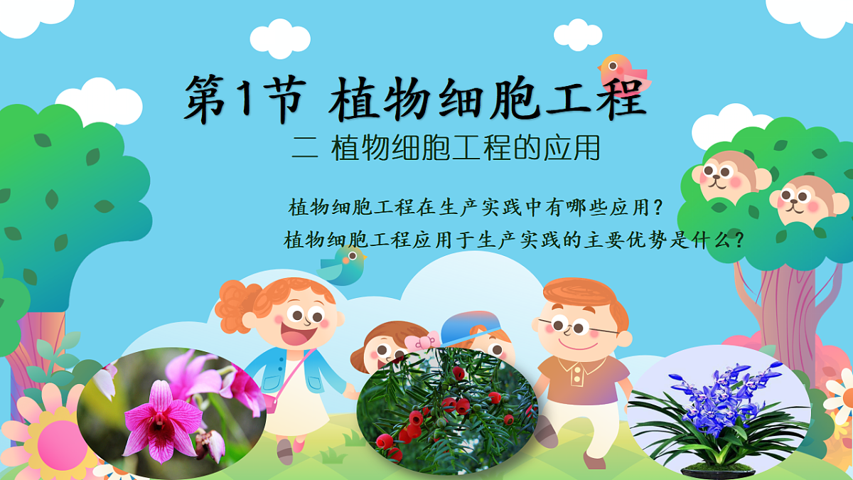 17817990第1页