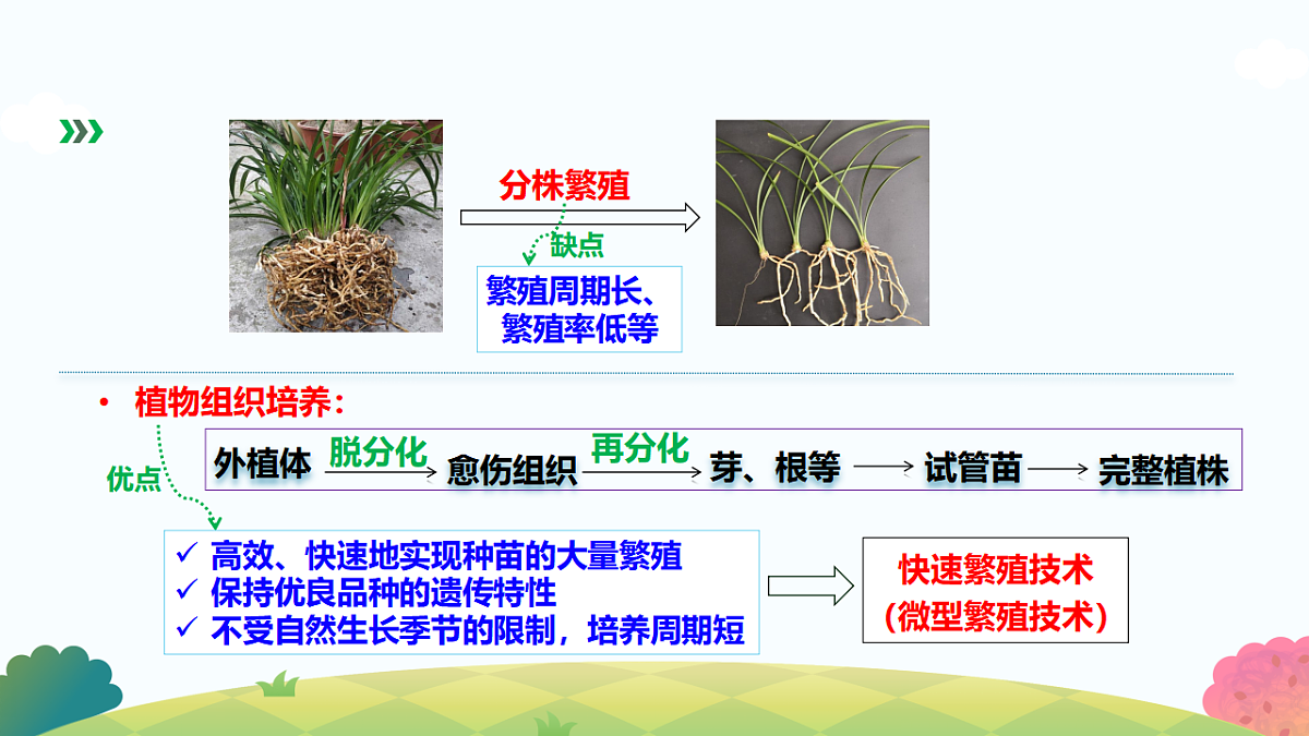 17817990第2页