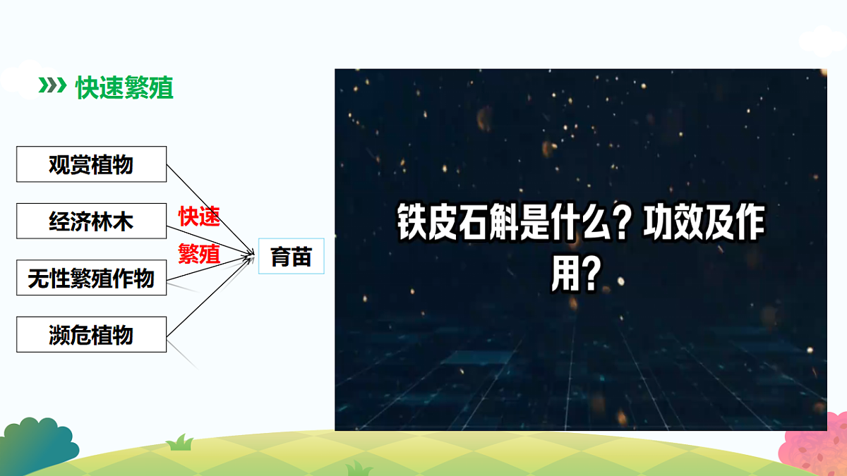 17817990第3页
