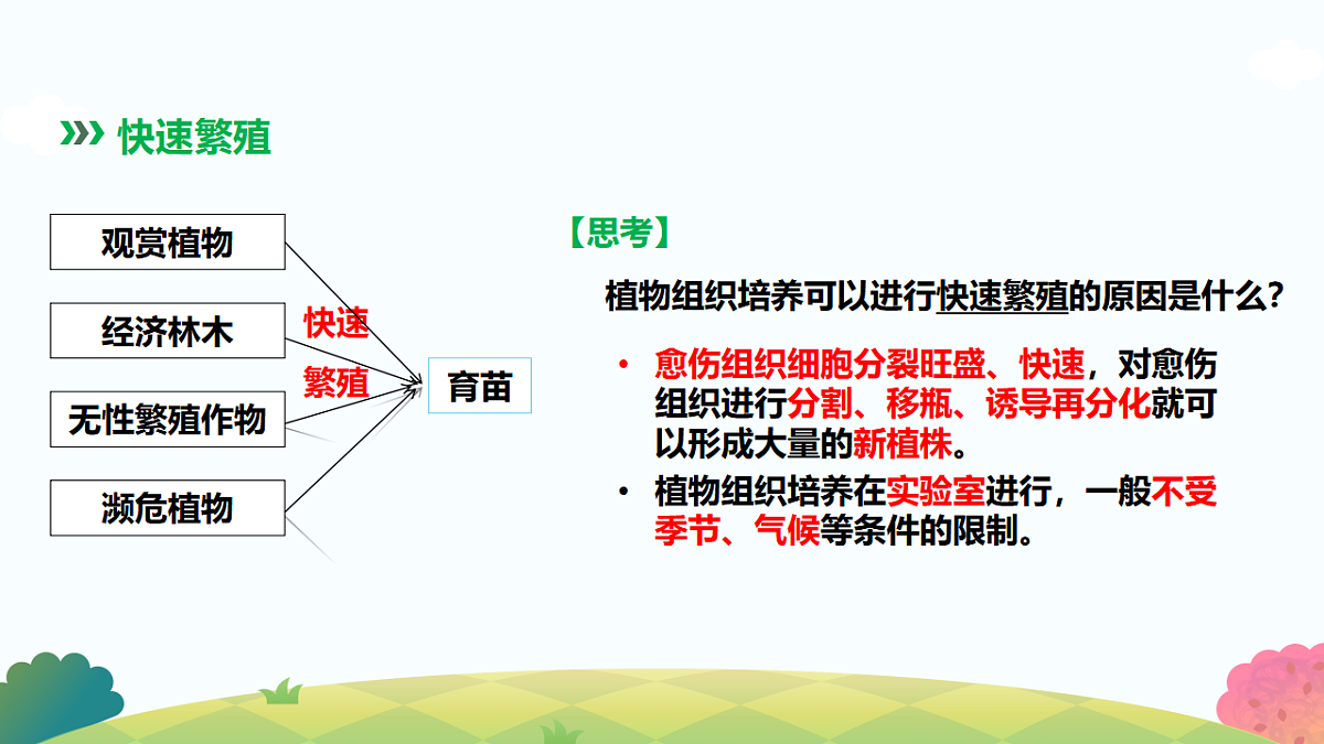17817990第4页