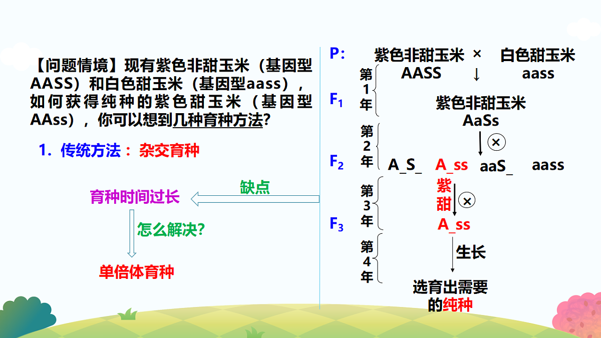 17817990第7页