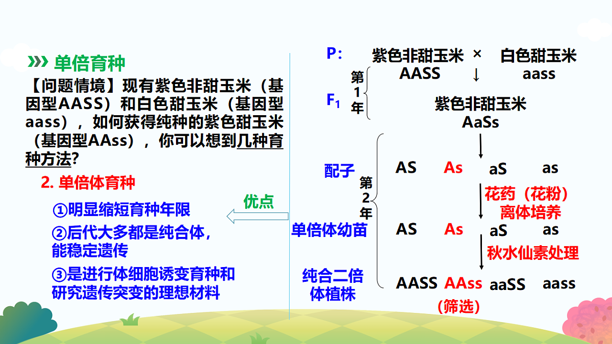 17817990第8页