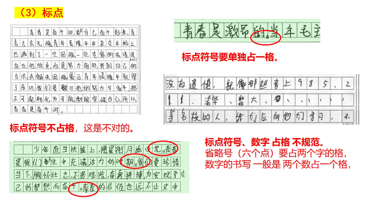 17818480第5页