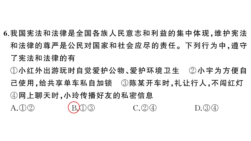 17818512第7页