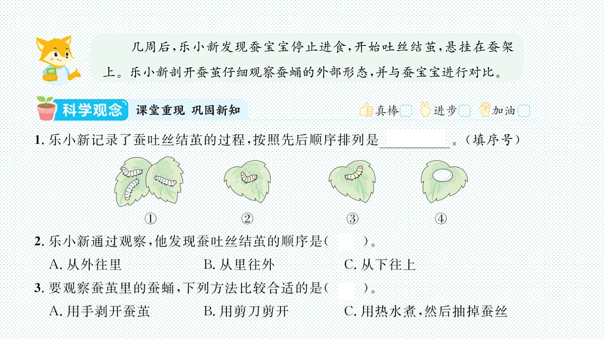 17818570第2页