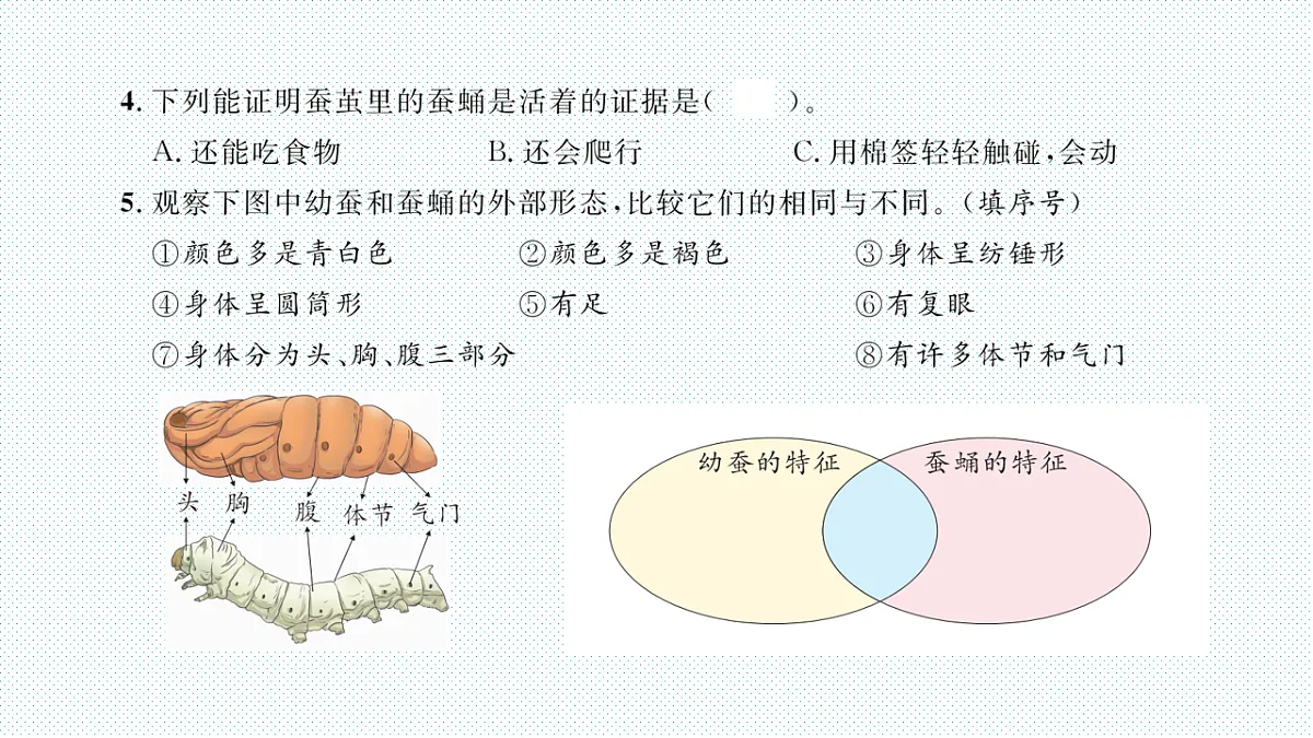 17818570第3页