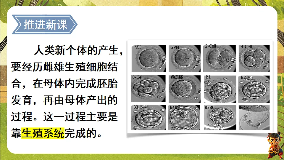 17818908第5页