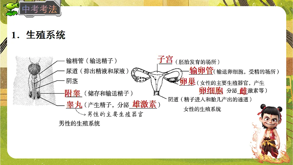 17818908第7页
