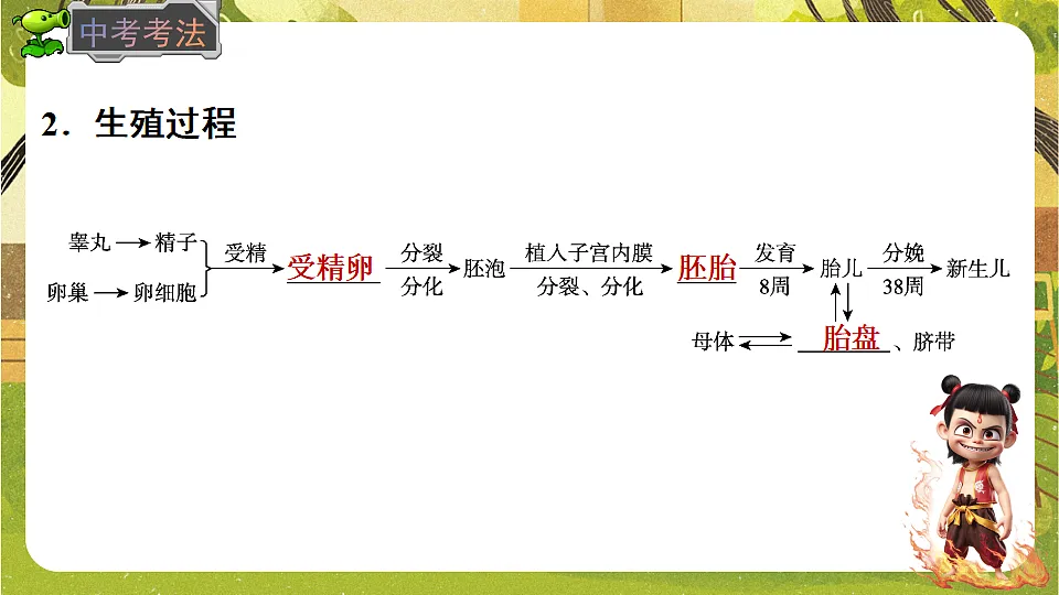17818908第8页