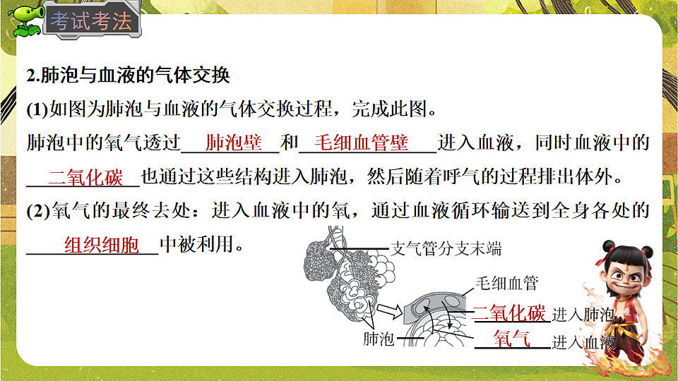 17818912第5页