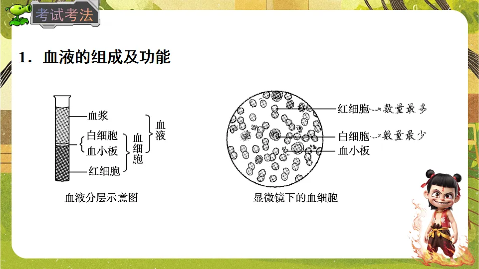 17818913第4页