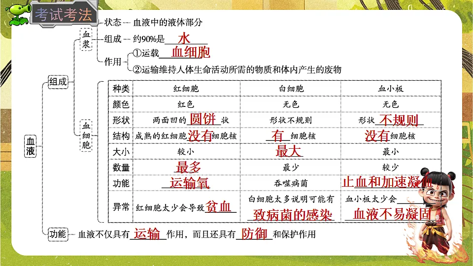 17818913第5页