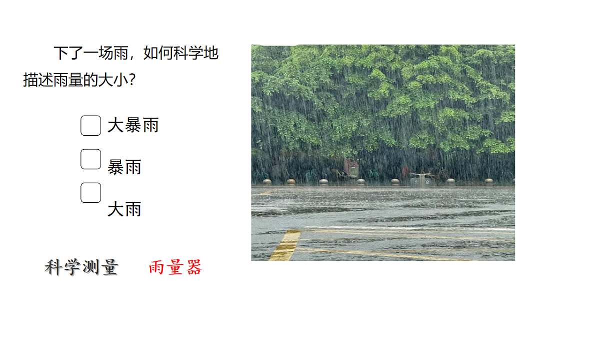 17819549第5页