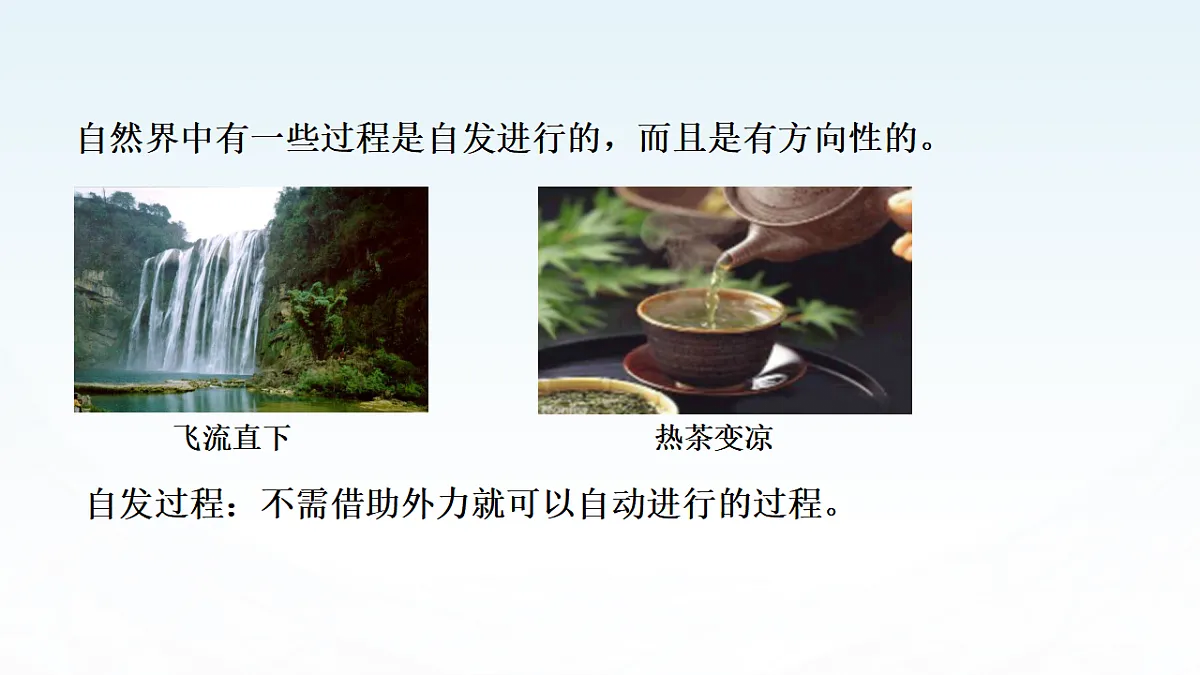17819778第3页