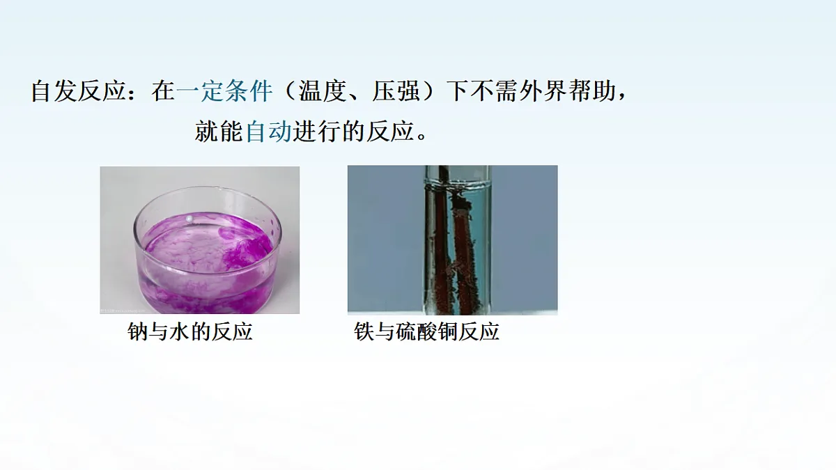17819778第4页