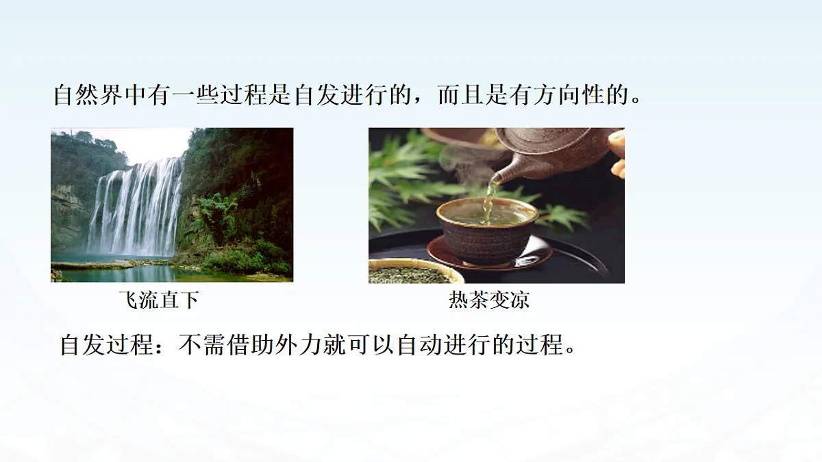 17819779第3页