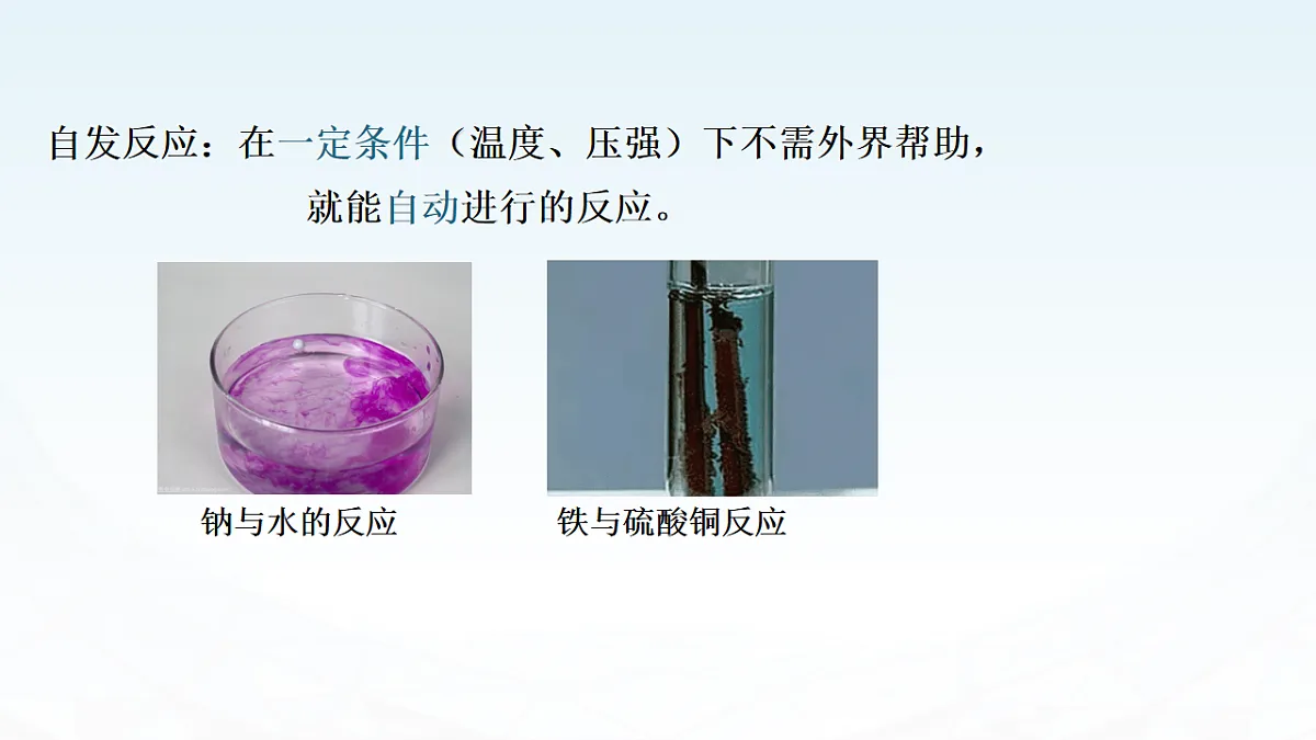 17819779第4页
