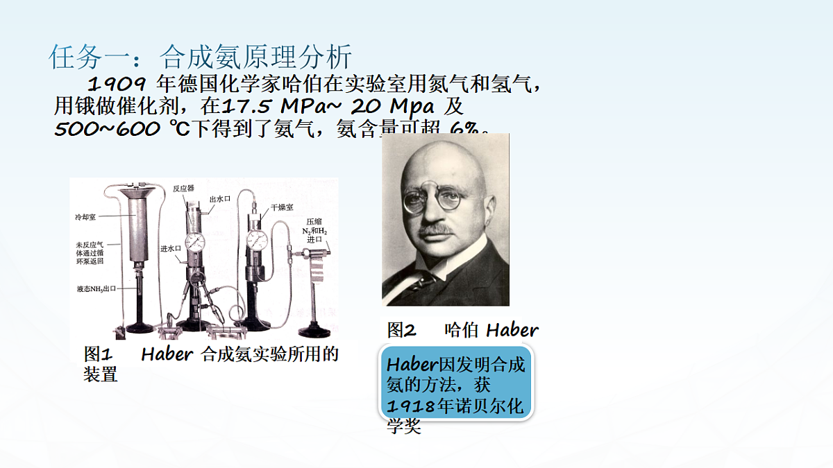 17819782第5页