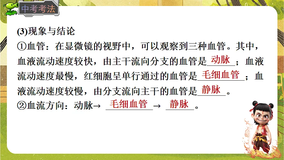 17819855第7页