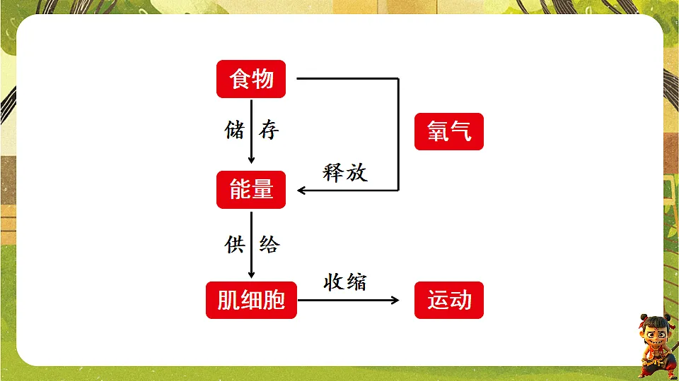 17819858第4页
