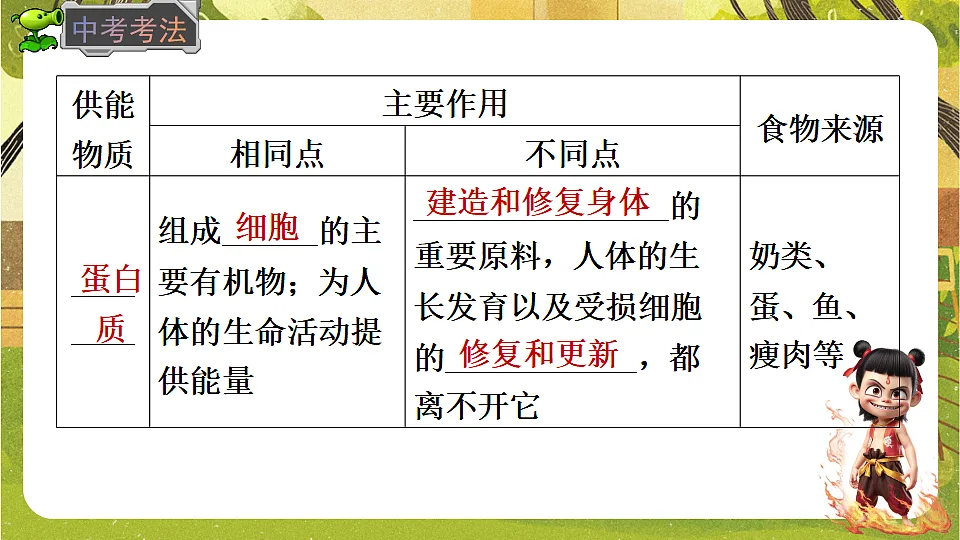 17819858第7页