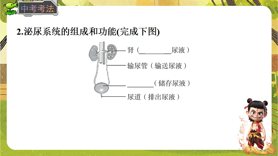 17819860第5页