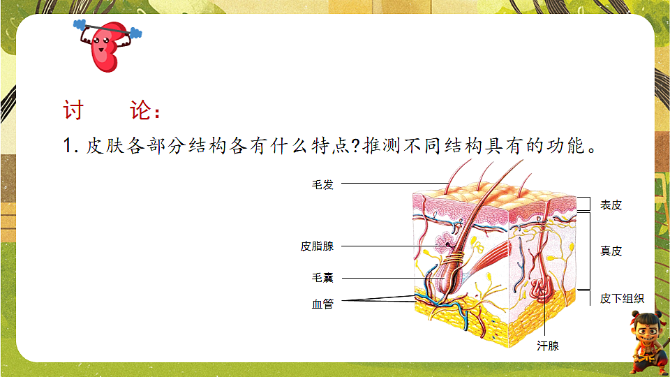 17819861第3页