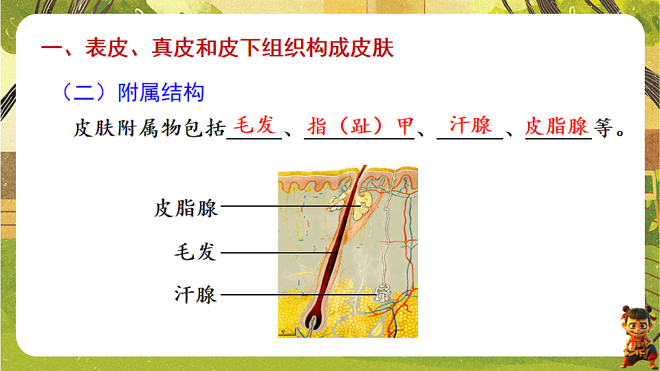 17819861第5页