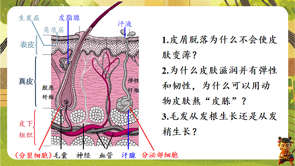 17819861第7页