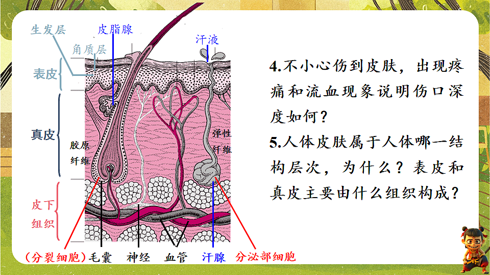 17819861第8页