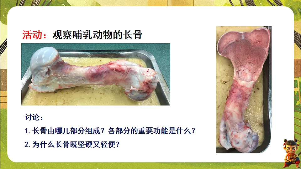 17819865第4页