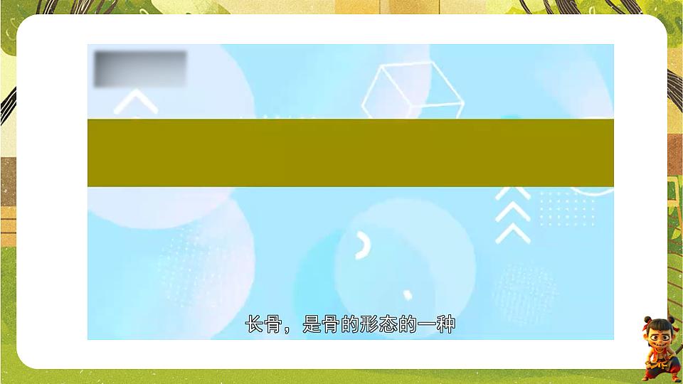 17819865第5页