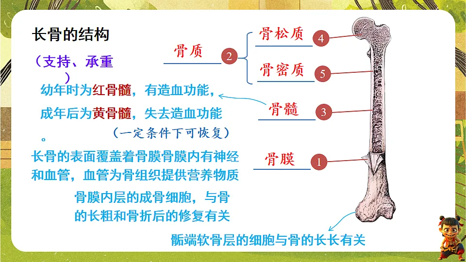 17819865第6页