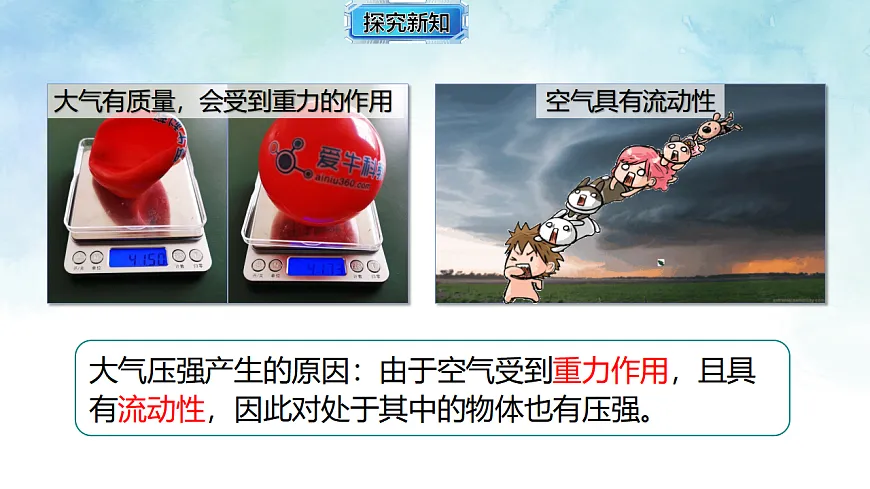 17820397第5页