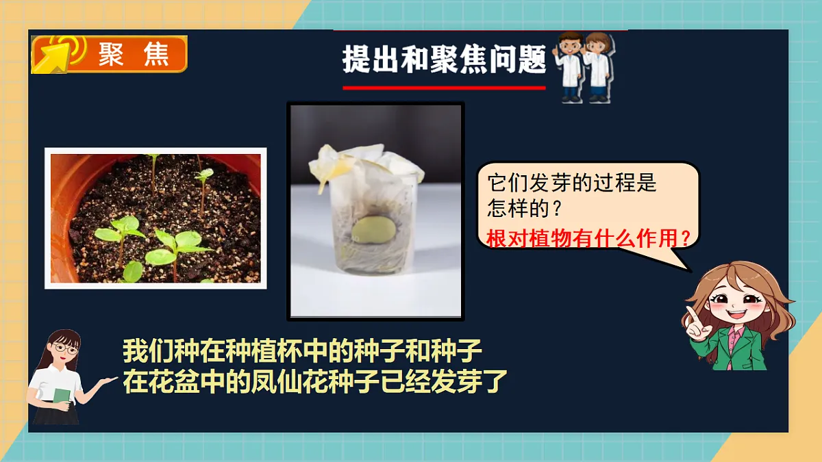 1.3《种子长出了根》课件+实验视频第2页