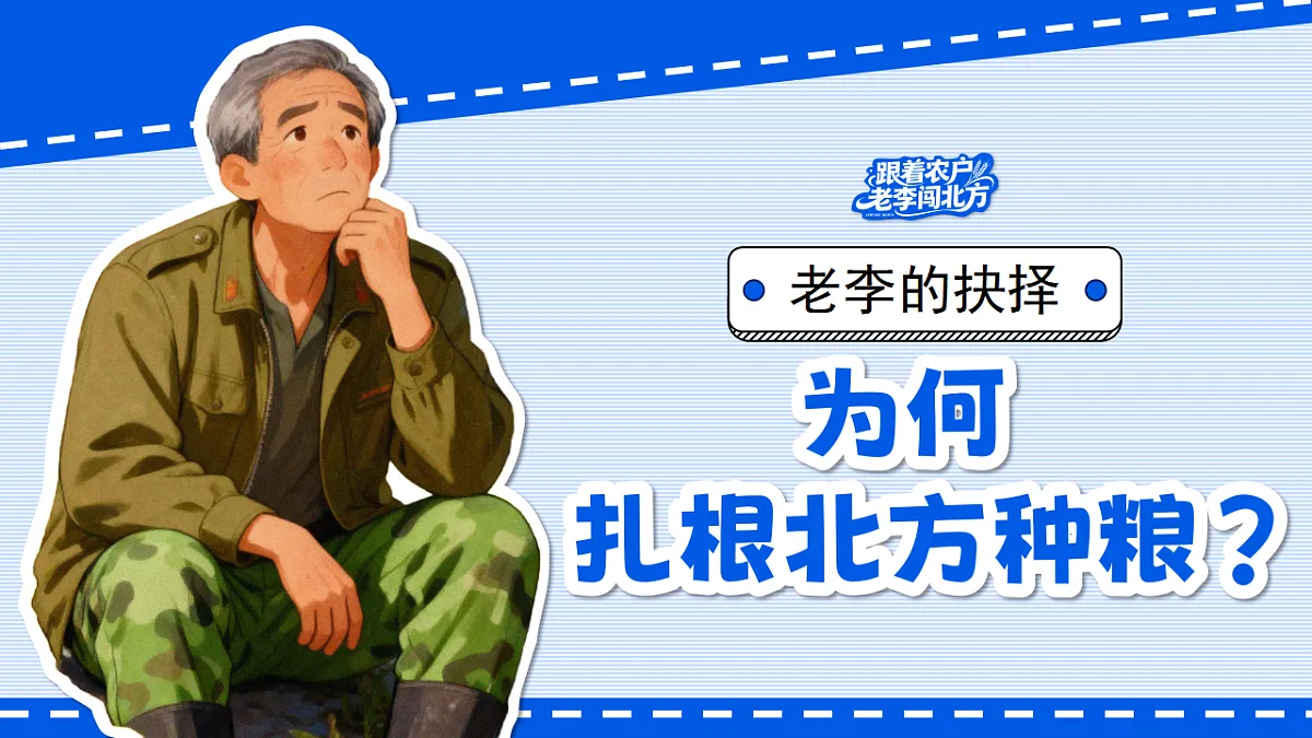 17823235第3页