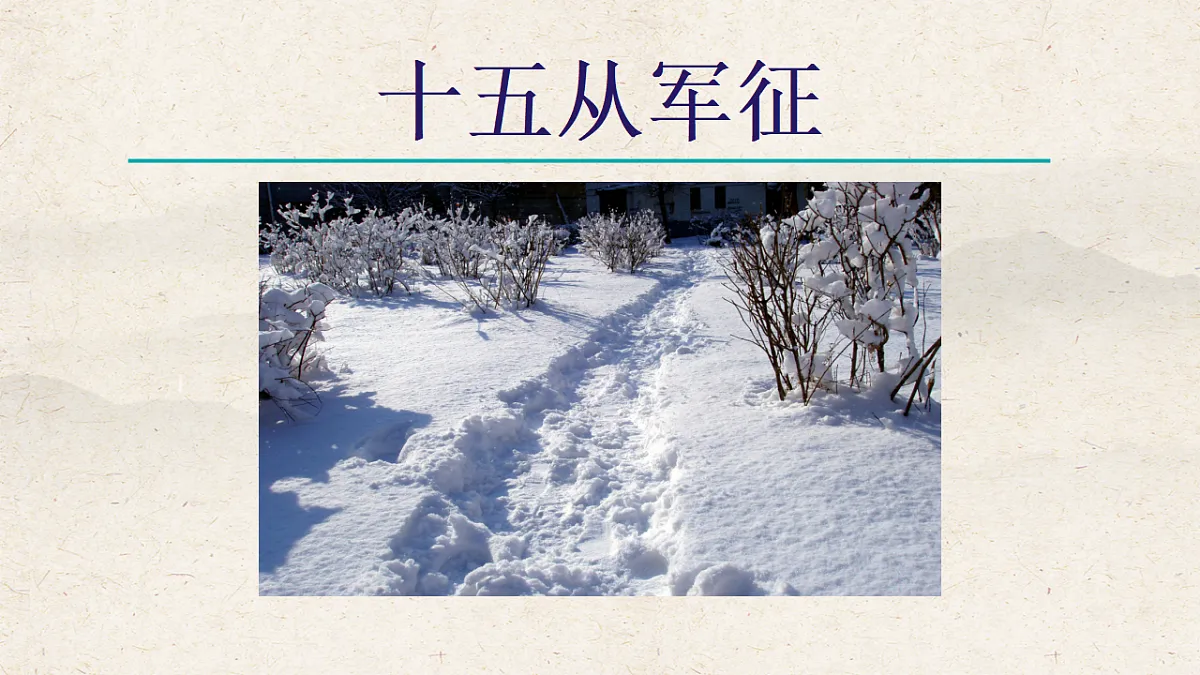 17823731第8页