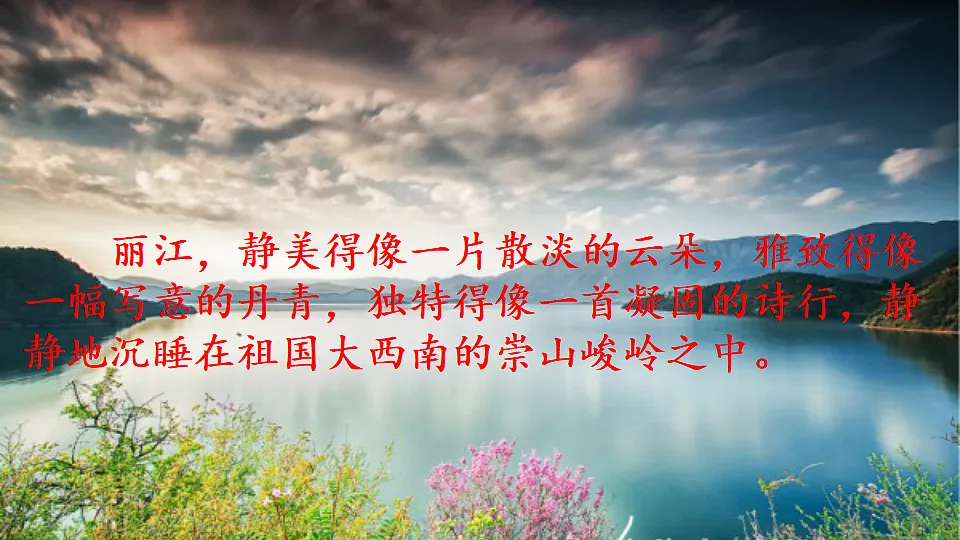 17824169第2页
